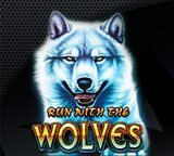 Run with the Wolves Quad Shot