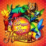 Free slot games no download no registration